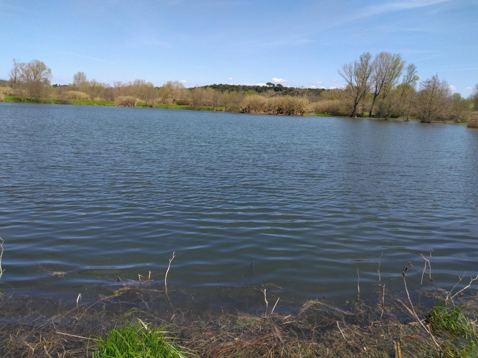 Plan d'eau