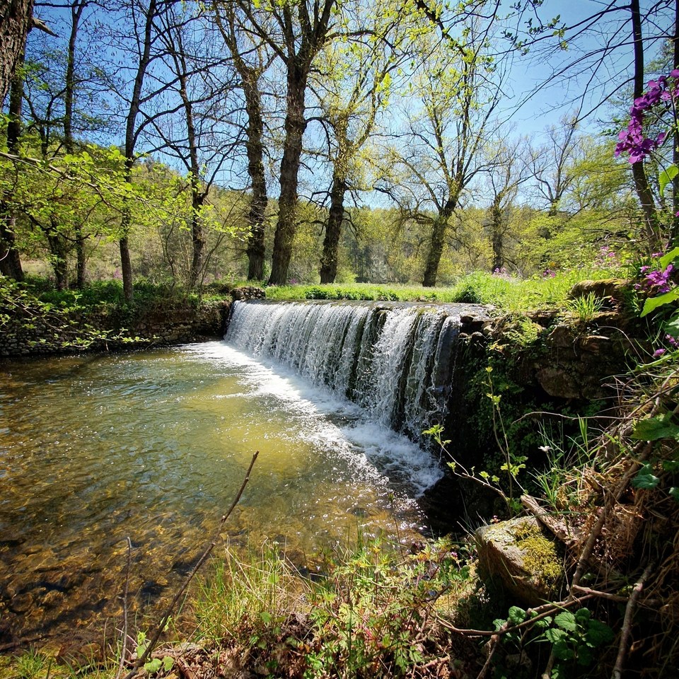 Entre Duzon et Ormèze