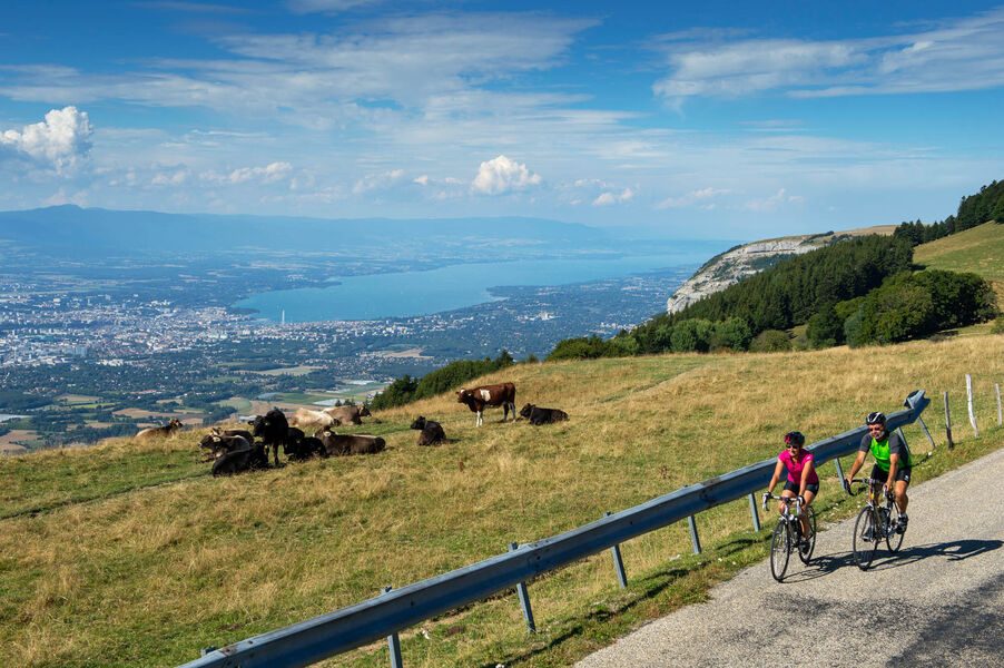 Alpes du Nord