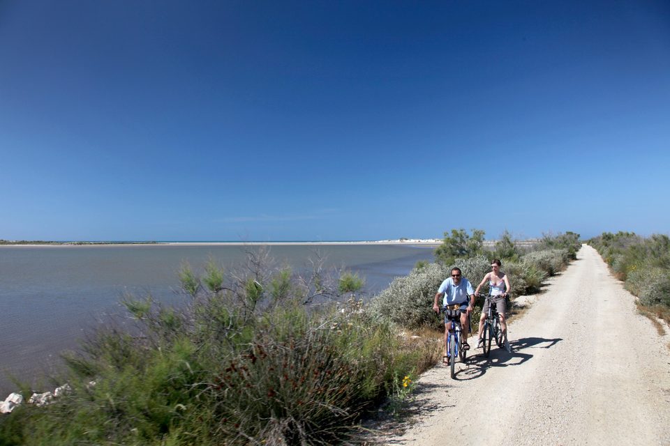 SALIN-DE-GIRAUD - Les trois étangs à vélo