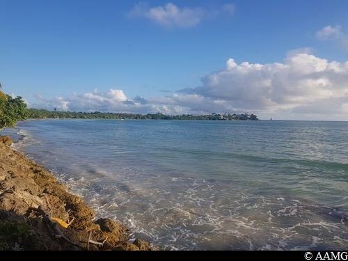 Littoral du Gosier (Grand Baie)