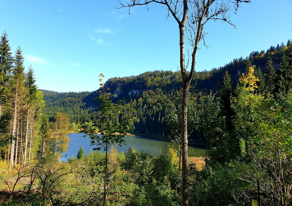 Conseil départemental du Jura