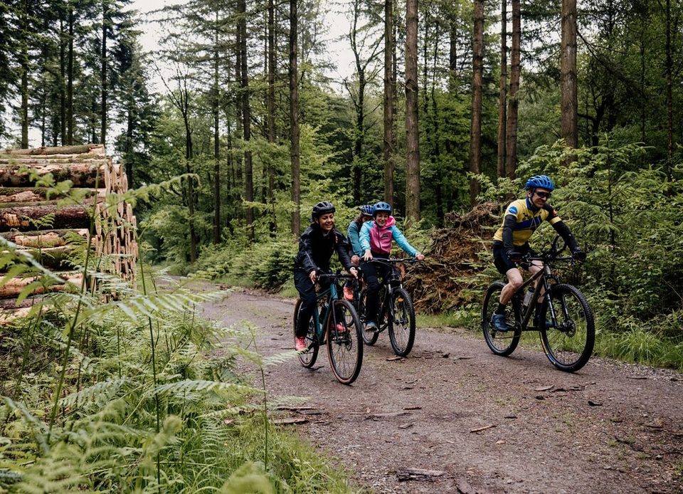 37 Le Grand Tour d'Andaine - Parcours gravel
