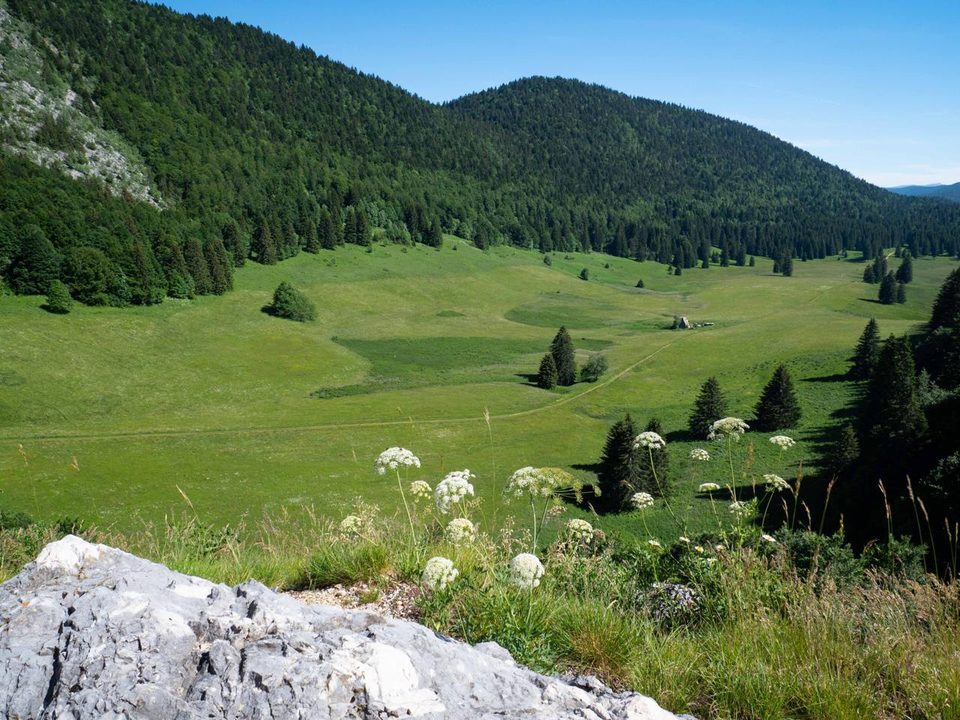 La Plaine d'Herbouilly
